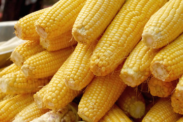 Sweet corn in the market