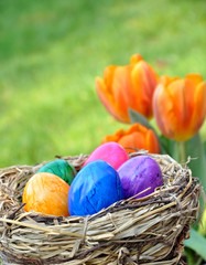 Buntes Osternest im Garten