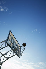 Hoops Basketball