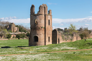 Fototapeta na wymiar Ruins of the Circus of Maxentius in Rome