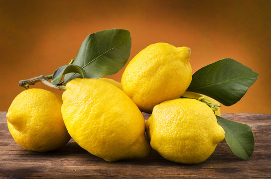 limoni di sicilia bio