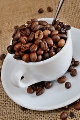 coffe beans