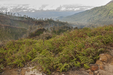 Ijen volcano complex - sulfur mining
