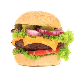 Close up of tasty hamburger.