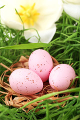 Easter eggs on green grass, close up