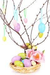 Easter composition with eggs on branches isolated on white