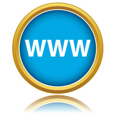 www icon