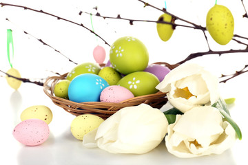 Easter composition with eggs branches close up
