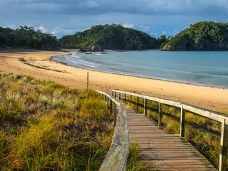 Foto op Plexiglas Toegang tot een verlaten strand in Northland, Nieuw-Zeeland © creativenature.nl