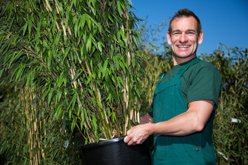 Gardener posing with potted bamboo plant at nursery