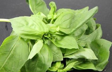 bouquet de basilic sur un plateau d'ardoise