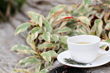 White cup of green tea in the garden.