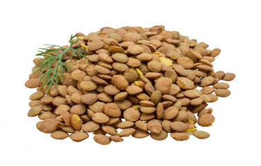 Raw lentils
