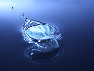 Water drops close-up