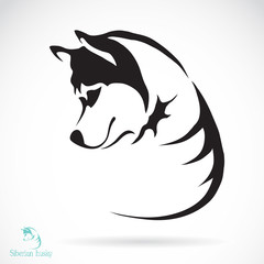Vector image of a dog siberian husky © yod67