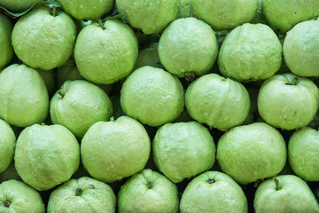 guava in market