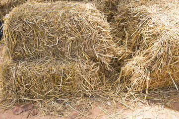 piles of straw on a farm in the wild