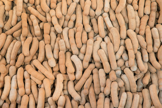 Tamarind fruit in Thailand
