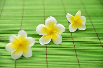 Three frangipani flower on green mat
