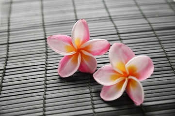 Fototapeta na wymiar Two frangipani flower on bamboo mat texture