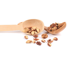 Spoon with walnuts and brazil nuts.