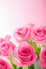 Fototapeta na wymiar beautiful pink roses background closeup