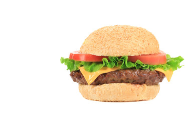 Appetizing fast food hamburger.