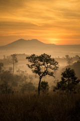 Fototapeta na wymiar Sunrise at Thung Salaeng Luang National Park