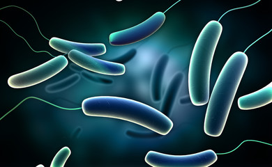 Coli bacteria