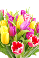 bouquet of tulip flowers