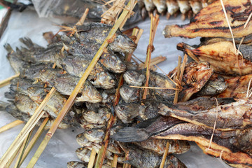 Grilled fish in the market