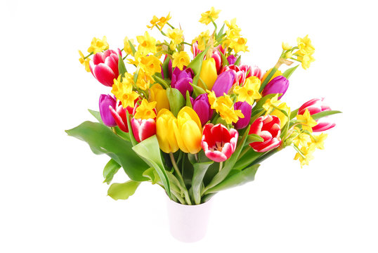 bouquet of tulip and daffodils flowers isolated on white