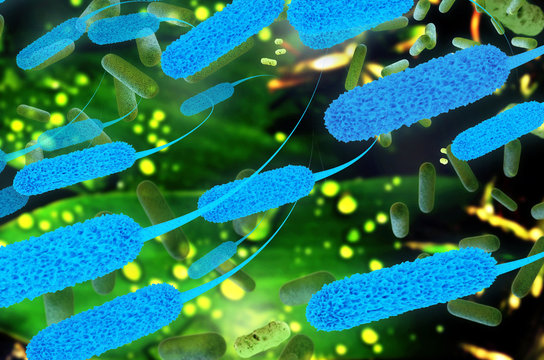 Ecoli Bacterium - 3D Render