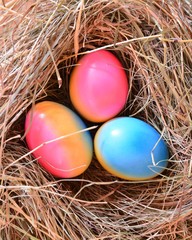 Obraz premium Ostereier im Stroh