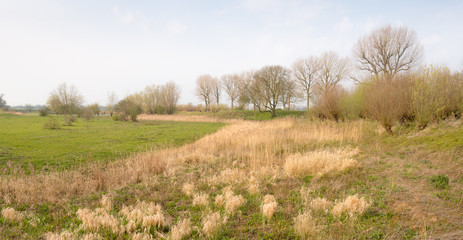 Landscape in springtime