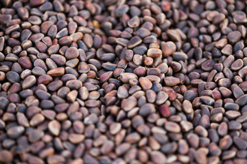 Close-up siberian cedar nuts texture to background