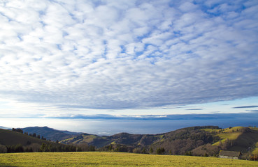 Landschaft