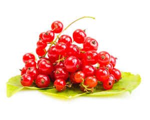 Red Currant on green leaves