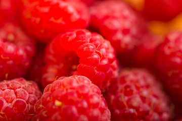 Raspberry fruit background