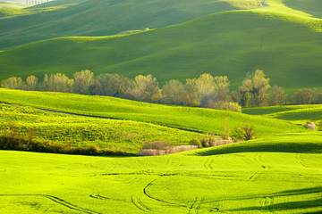 Fototapeta na wymiar Piękne zielone wzgórza w Toskanii we Włoszech.