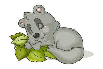 sleep little raccoon