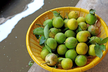 lemon fruit in the floating market
