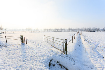 Bright sunny snowy winter landscape