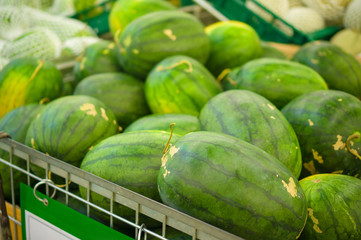 Bunch of watermelons on plastic boxes in store