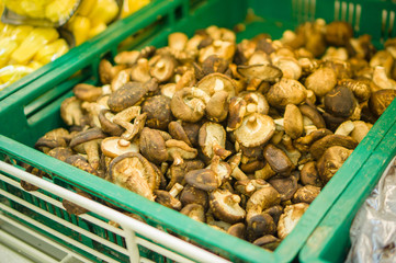 Bunch of mushrooms in plastic boxes in store