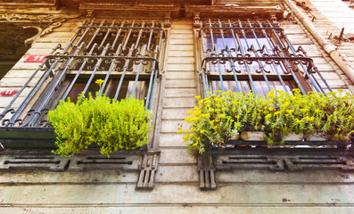 Old window close up, architectural detail with arch shaped window and ornate iron fence