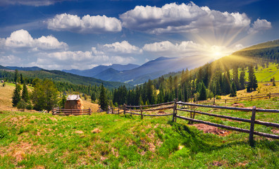 Obraz premium Beautiful summer landscape in the mountains at summer
