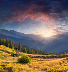Fototapeta na wymiar Colorful summer landscape in mountains