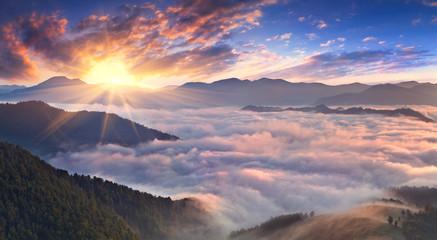 Panorama of misty morning in the mountains in summer
