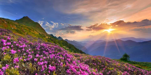 Foto auf Acrylglas Lachsfarbe Summer landscape in the mountains.